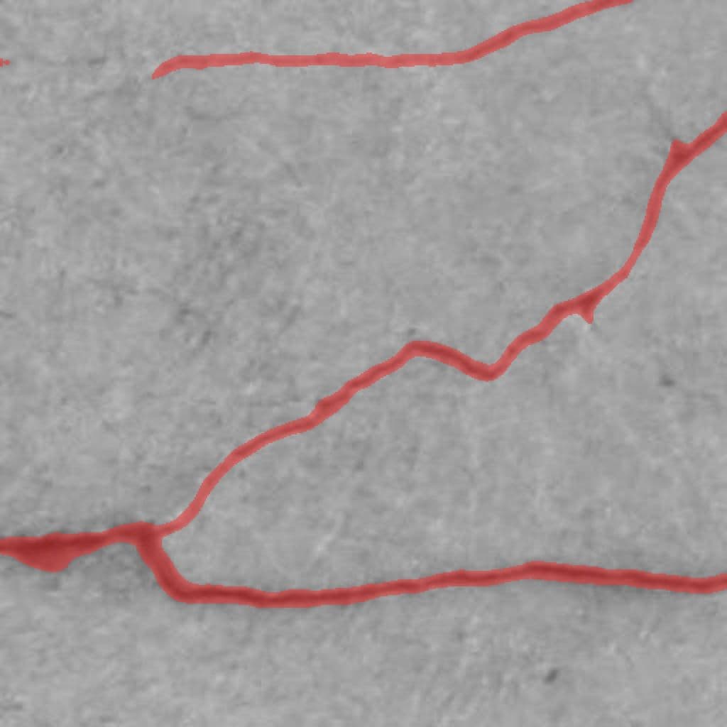 EfficientNet-based Concrete Crack Segmentation Model